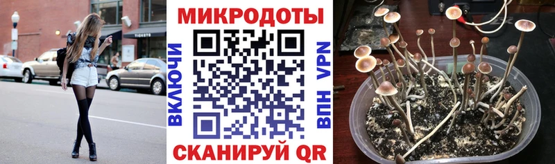 Галлюциногенные грибы Magic Shrooms  Купить  Малмыж 
